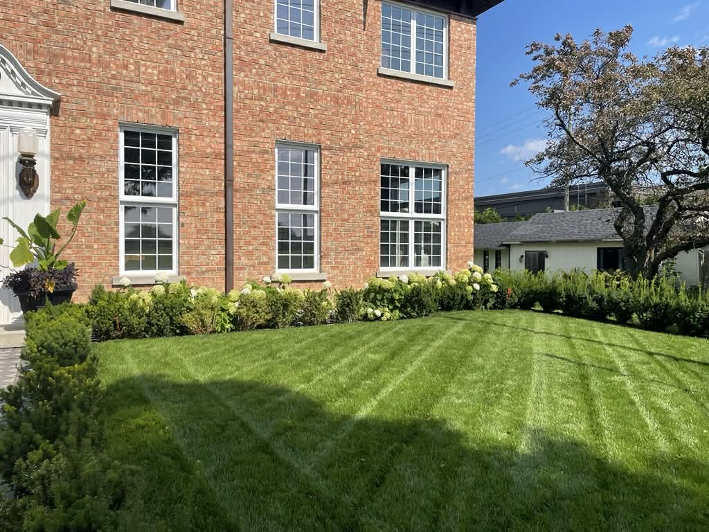 Pelouse rayée — Massifs d'hortensias