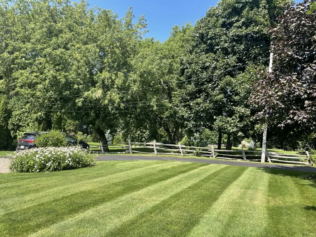 Pelouse rayée — Clôture rustique