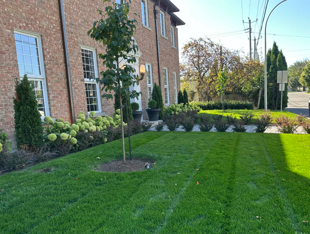 Aménagement paysager — Vue d'ensemble